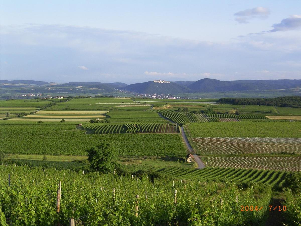 Asbacher Klosterkeller Stratzing Екстериор снимка